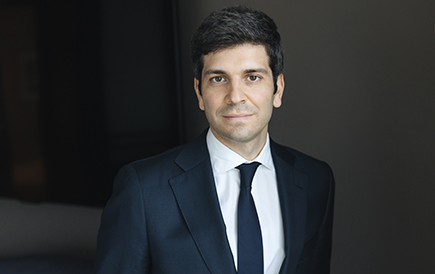Image: Marco Lippi - Business Law Lawyer