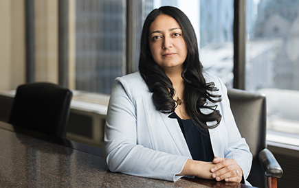 Image: Seema Aggarwal - Business Law Lawyer